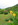 Garten mit Liegewiese